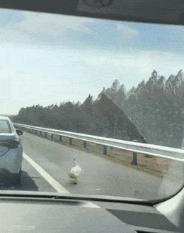 Acid GIFs, August 21 (25 gifs) Acid GIFs, August 21 (25 gifs)