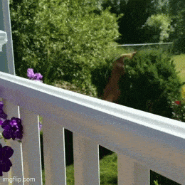 Acid GIFs, August 21 (25 gifs) Acid GIFs, August 21 (25 gifs)