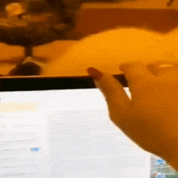 Acid GIFs, August 21 (25 gifs) Acid GIFs, August 21 (25 gifs)