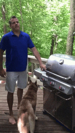 Acid GIFs, August 21 (25 gifs) Acid GIFs, August 21 (25 gifs)