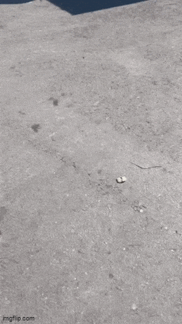 Acid GIFs, August 21 (25 gifs)