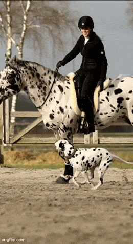 Acid GIFs, August 21 (25 gifs) Acid GIFs, August 21 (25 gifs)