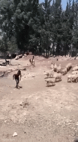 Acid GIFs, August 21 (25 gifs) Acid GIFs, August 21 (25 gifs)