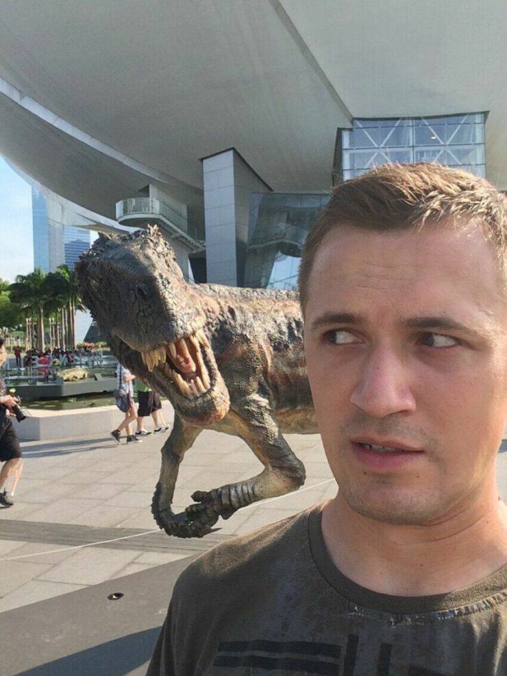 Daily Pictures. Part 1 (63 pics)