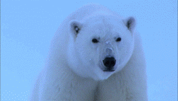 Acid GIFs, August 22 (25 gifs)