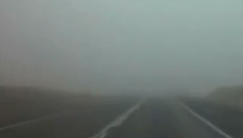Acid GIFs, August 22 (25 gifs) Acid GIFs, August 22 (25 gifs)