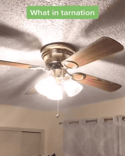 Acid GIFs, August 22 (25 gifs) Acid GIFs, August 22 (25 gifs)