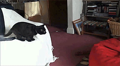 Acid GIFs, August 22 (25 gifs)