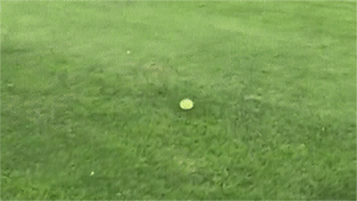 Acid GIFs, August 22 (25 gifs)