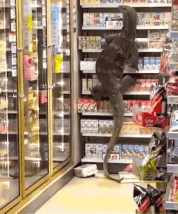 Acid GIFs, August 22 (25 gifs) Acid GIFs, August 22 (25 gifs)