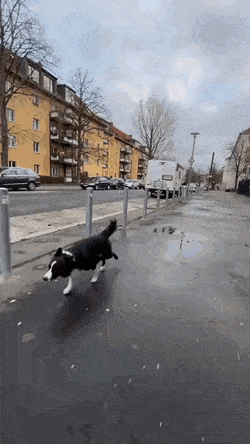 Acid GIFs, August 22 (25 gifs) Acid GIFs, August 22 (25 gifs)