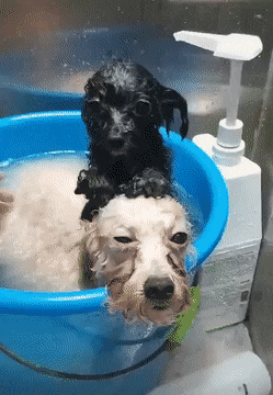 Acid GIFs, August 22 (25 gifs)