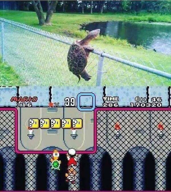 Memes And Pictures For Gamers (20 pics)