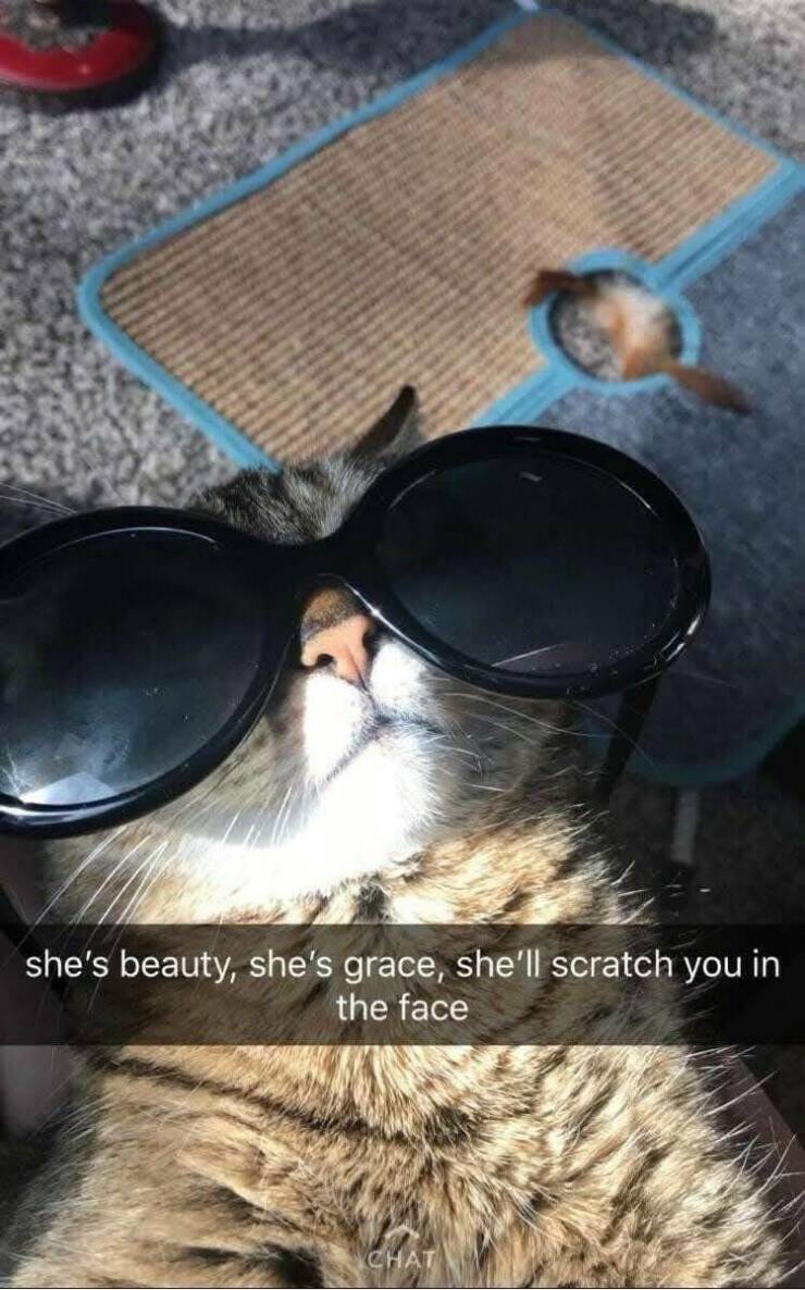 Daily Pictures. Part 2 (63 pics)