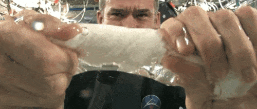 Acid GIFs, August 25 (25 gifs) Acid GIFs, August 25 (25 gifs)