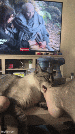 Acid GIFs, August 25 (25 gifs) Acid GIFs, August 25 (25 gifs)