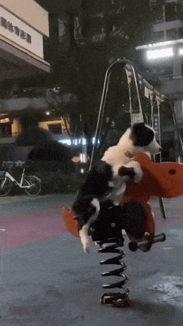Acid GIFs, August 25 (25 gifs) Acid GIFs, August 25 (25 gifs)