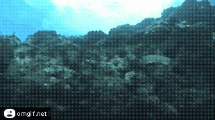 Acid GIFs, August 25 (25 gifs) Acid GIFs, August 25 (25 gifs)