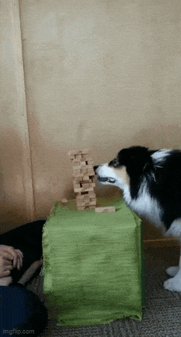 Acid GIFs, August 25 (25 gifs)
