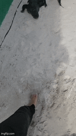 Acid GIFs, August 25 (25 gifs) Acid GIFs, August 25 (25 gifs)