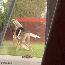 Acid GIFs, August 25 (25 gifs) Acid GIFs, August 25 (25 gifs)