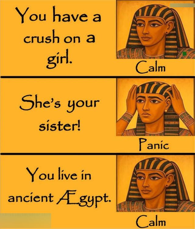 Funny Memes (24 pics)