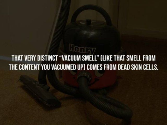 Creepy Facts (15 pics)
