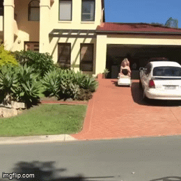 Acid GIFs, August 26 (25 gifs)