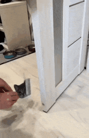 Acid GIFs, August 26 (25 gifs)