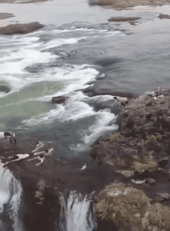 Acid GIFs, August 26 (25 gifs)