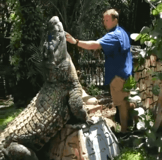 Acid GIFs, August 26 (25 gifs)