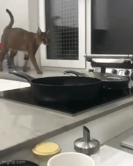 Acid GIFs, August 26 (25 gifs)