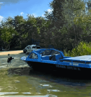 Acid GIFs, August 26 (25 gifs)