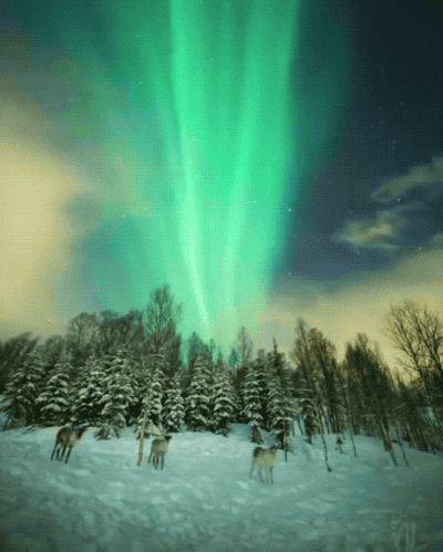 Acid GIFs, August 26 (25 gifs)
