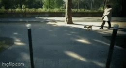 Acid GIFs, August 26 (25 gifs)