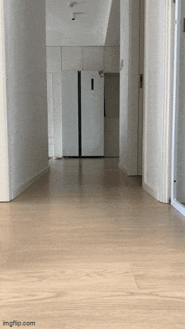 Acid GIFs, August 26 (25 gifs)