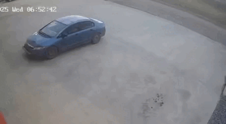 Acid GIFs, August 26 (25 gifs)