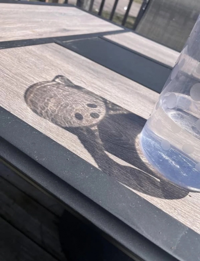 Optical Illusions (19 pics)