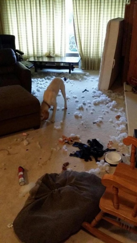 Bad Days Happen (21 pics)