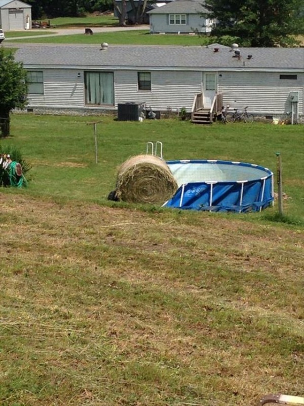 Bad Days Happen (21 pics)