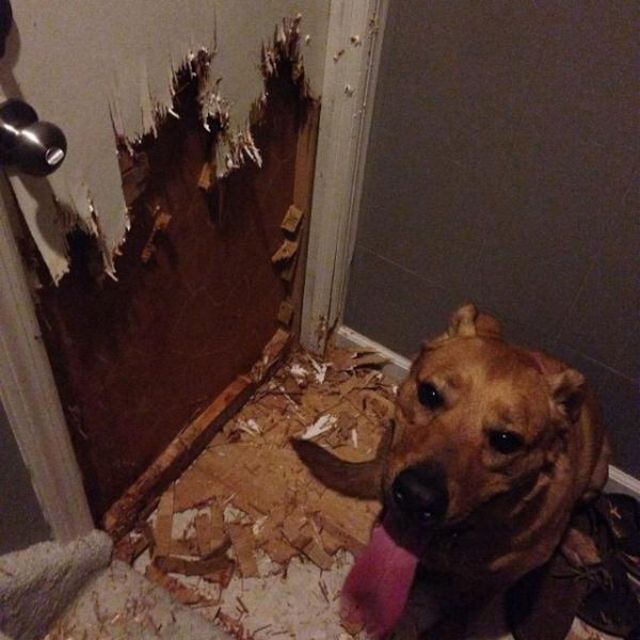 Bad Days Happen (21 pics)