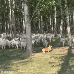 Acid GIFs, August 27 (25 gifs) Acid GIFs, August 27 (25 gifs)