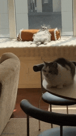 Acid GIFs, August 27 (25 gifs) Acid GIFs, August 27 (25 gifs)