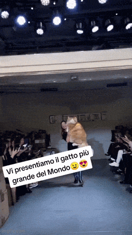 Acid GIFs, August 27 (25 gifs) Acid GIFs, August 27 (25 gifs)