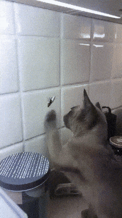 Acid GIFs, August 27 (25 gifs) Acid GIFs, August 27 (25 gifs)