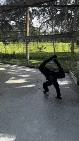 Acid GIFs, August 27 (25 gifs)