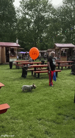 Acid GIFs, August 27 (25 gifs) Acid GIFs, August 27 (25 gifs)