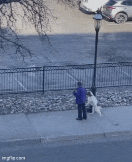 Acid GIFs, August 27 (25 gifs) Acid GIFs, August 27 (25 gifs)