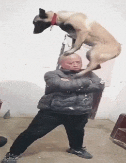 Acid GIFs, August 27 (25 gifs) Acid GIFs, August 27 (25 gifs)