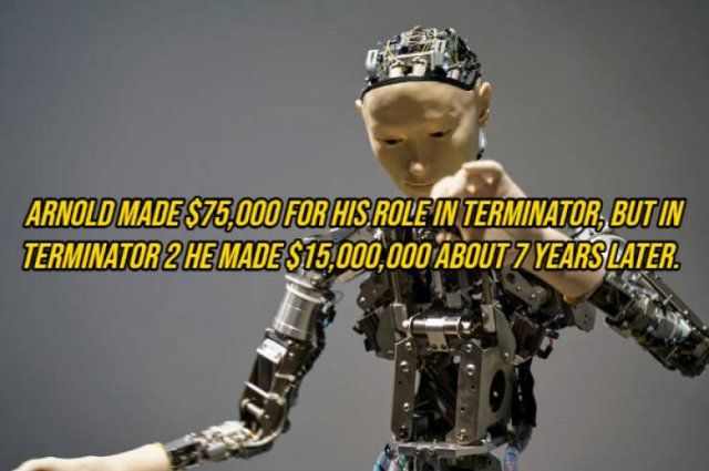 Random Facts (14 pics)